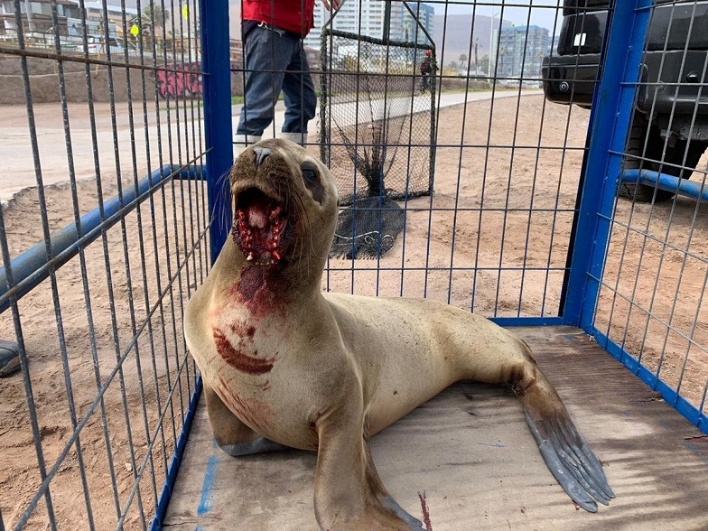 Imagen foto_00000002