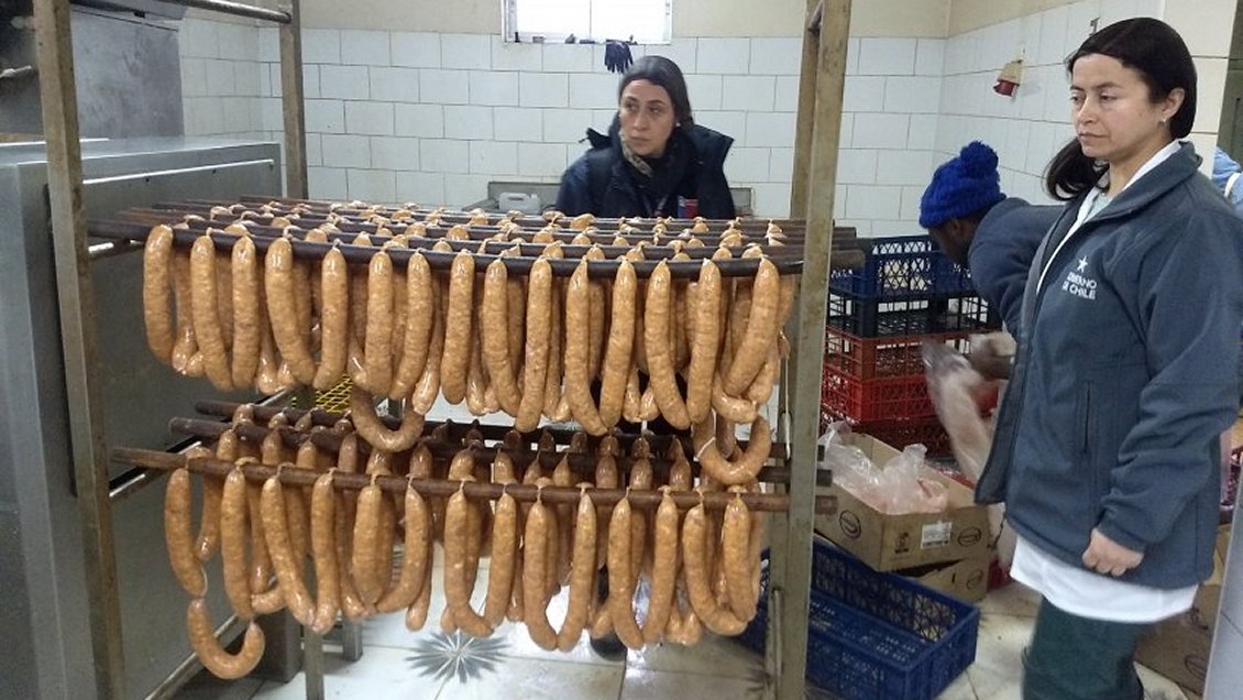 Fábrica de cecinas no autorizada vendía productos vencidos en Chillán