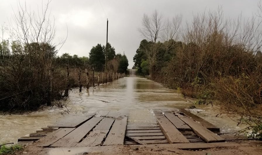 Imagen foto_00000033