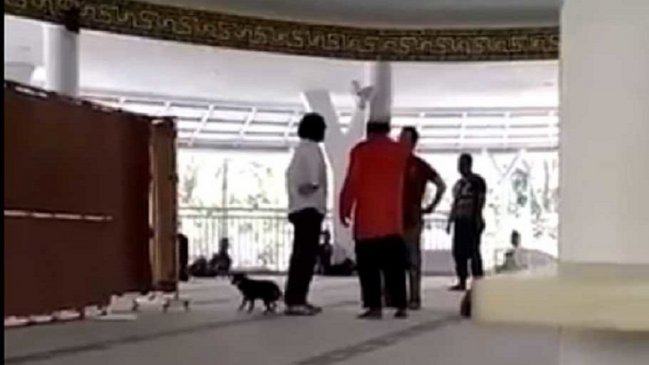 Indonesia: Acusan de blasfemia a mujer que entró con un perro a una mezquita