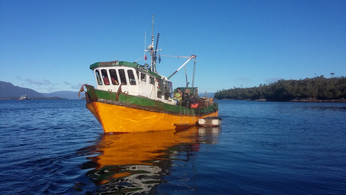 Armada y Sernapesca decomisaron tres toneladas de erizos y 300 kilos de centollas