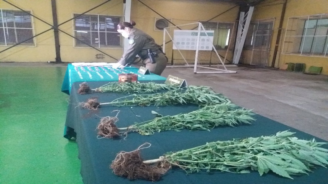 Carabineros detuvo a narcotraficante en medio del eclipse en San Pedro de la Paz