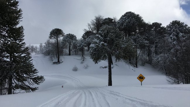 Ejército y municipio desarrollan operativo médico en zonas aisladas de Lonquimay