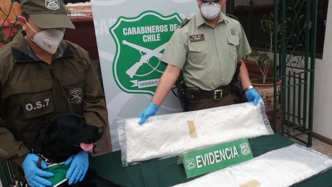 Can detector delató a dos mujeres que transportaban fajas con droga a Santiago