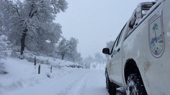 Más de 1.300 personas continúan aisladas por la nieve en Lonquimay