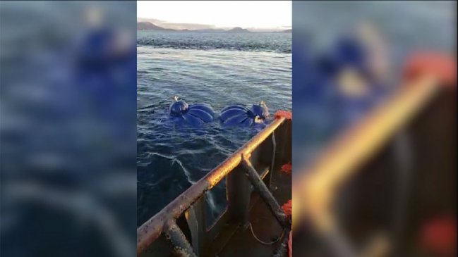 Magallanes: Inician reflote de barcaza que se hundió y planifican peritajes