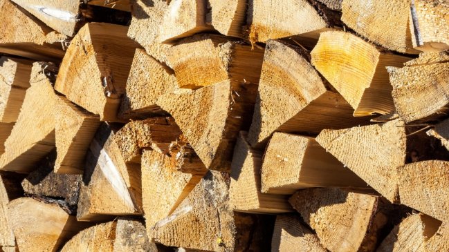 Fiscalía del Biobío abrió focos investigativos de violencia rural y robo de madera en Arauco