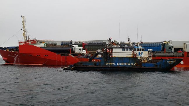 Al menos 32 animales han muerto en motonave varada en Aysén