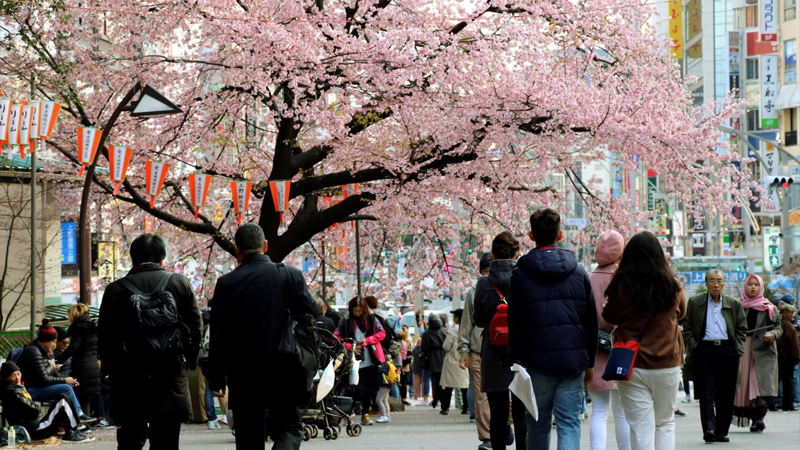Japón perdió casi medio millón de habitantes en 2018, su mayor descenso demográfico en 50 años