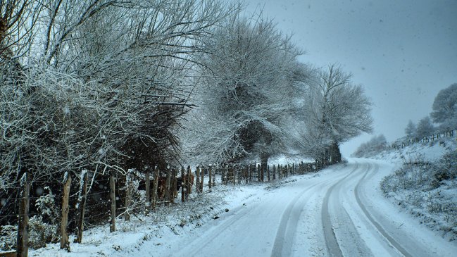 Construirán dos postas de salud rural en Lonquimay