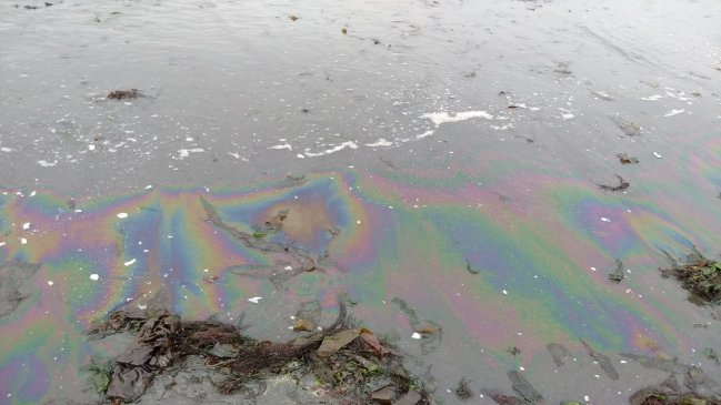 Investigan derrame de combustible en Canal Haverbeck de Valdivia