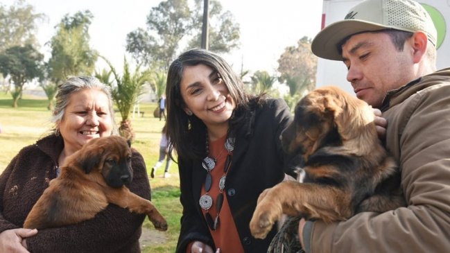  Campaña busca reubicar a perros abandonados  