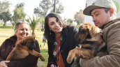  Campaña busca reubicar a perros abandonados  