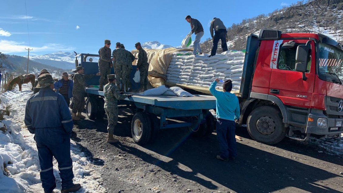Más de 280 mil kilos de alimento para ganado se han repartido en el Alto Biobío