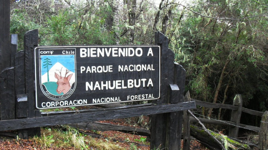 Buscan que Unesco declare a la Cordillera de Nahuelbuta como reserva de la biósfera