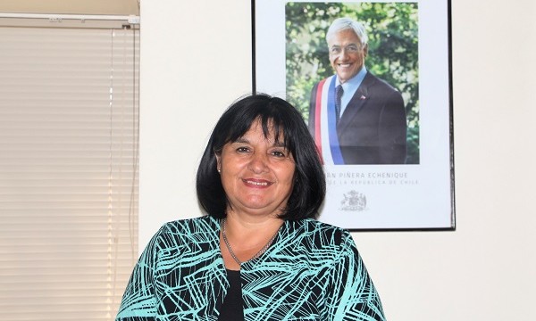 La Araucanía: Seremi renunció para abocarse a elecciones municipales