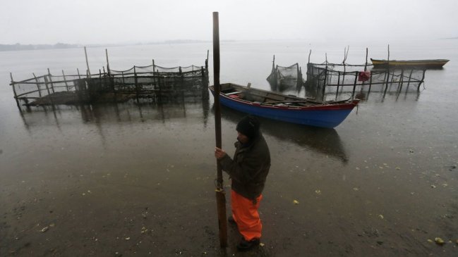 Autoridades apuntan a Essal por existencia de coliformes fecales en la bahía de Ancud