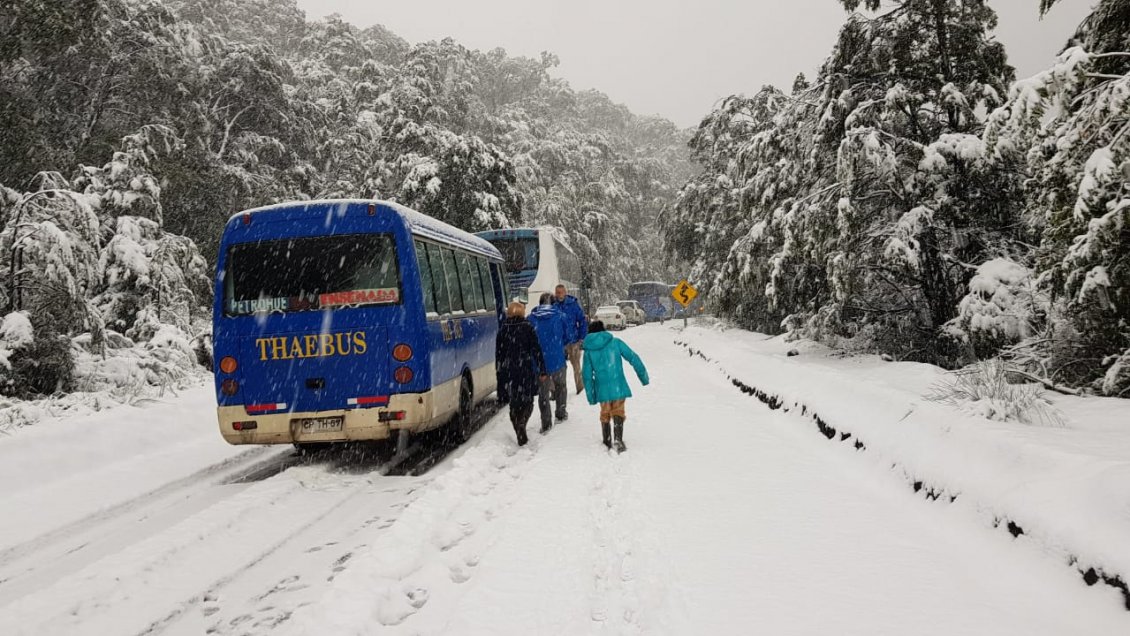 Caída de nieve en los faldeos del volcán Osorno condiciona tránsito normal en la zona