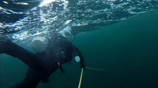 Buzo falleció mientras realizaba labores de extracción en Calbuco