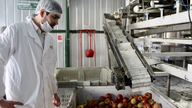 Maule: Empresas frutícolas podrán postular a programa de digitalización