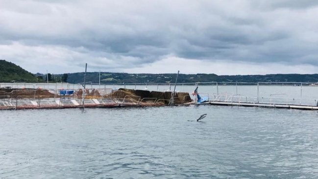 Organizaciones critican Ley de Limpieza de Fondo de Concesiones Acuícolas