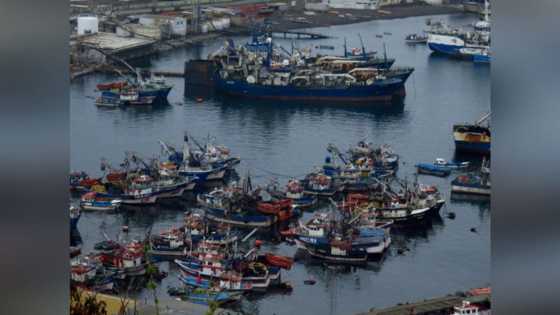 Pescadores industriales del Biobío piden prorrogar entrada en vigencia de Ley de La Jibia