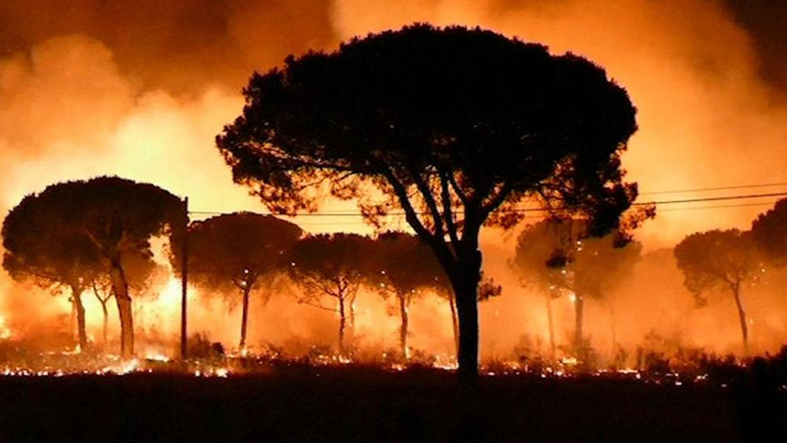 ONU: La crisis climática nos empujará a un mundo que no podemos ni imaginar