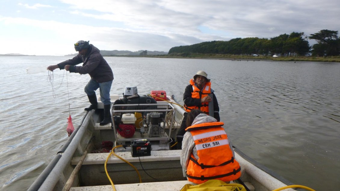 Con vida rescataron a tres pescadores que naufragaron en costas de La Araucanía