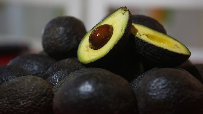 Gobernación de Quillota compromete rondas policiales ante denuncias de robo de paltas