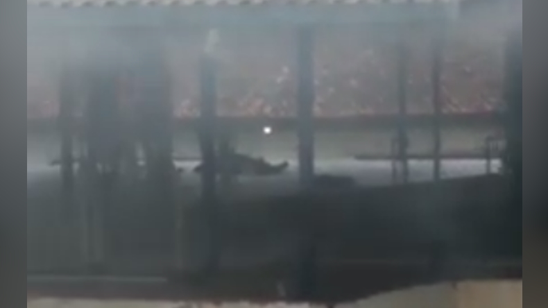 Al menos 57 muertos deja un motín en el norte de Brasil