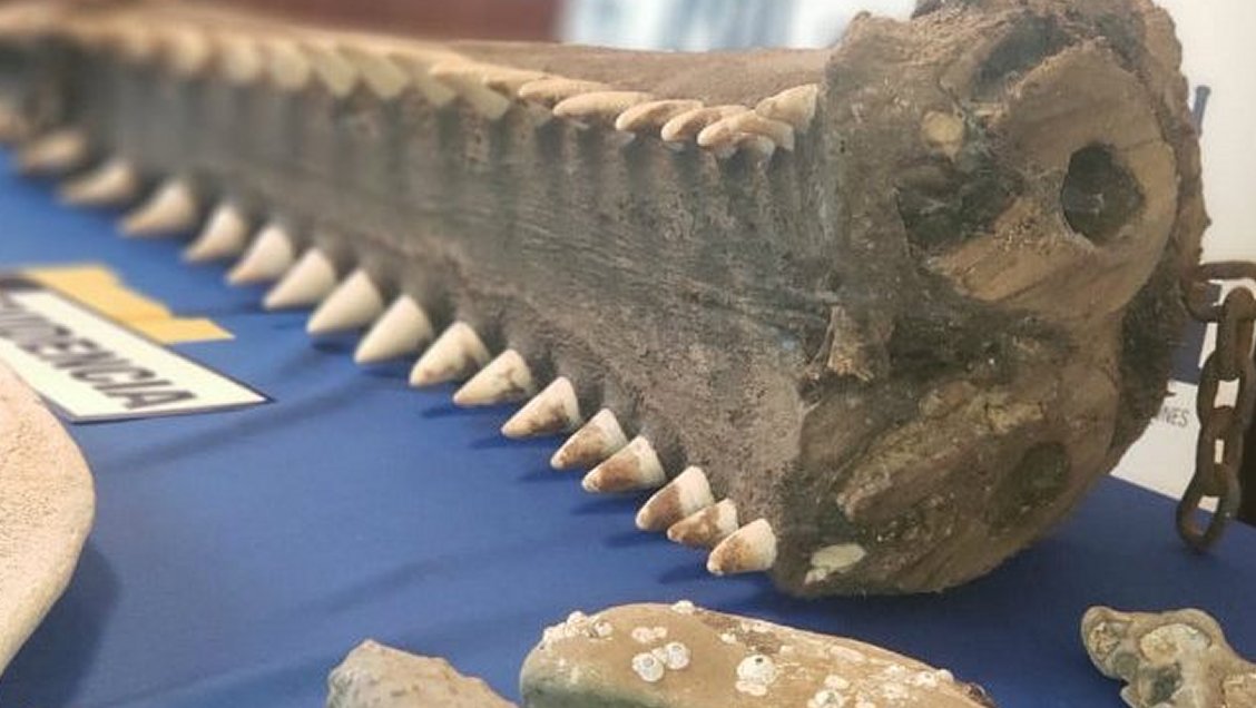 PDI descubrió valiosas piezas patrimoniales en vivienda de Cañete