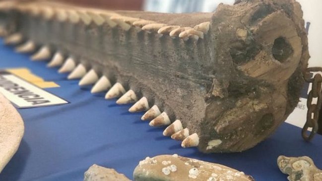 PDI descubrió valiosas piezas patrimoniales en vivienda de Cañete