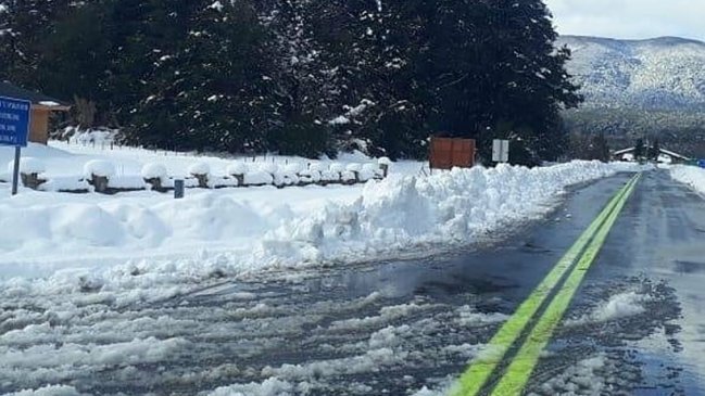Paso internacional Cardenal Samoré estará cerrado para camiones por cuatro semanas