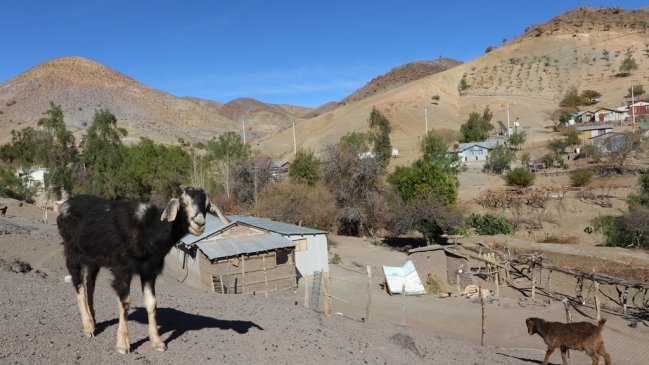 Región de Coquimbo fue declarada Zona de Emergencia Agrícola