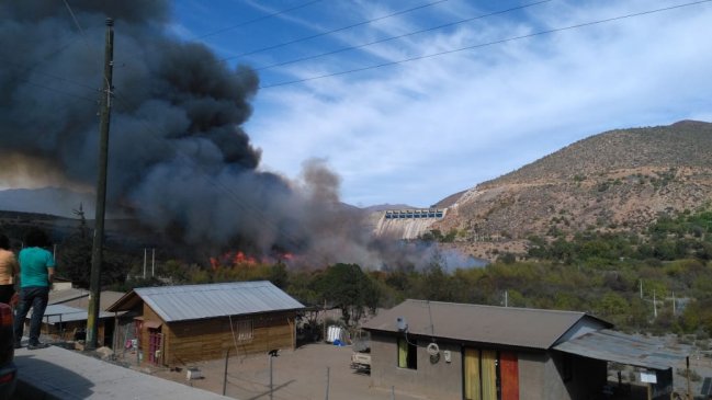 Incendio forestal afecta a más de 15 hectáreas en Ovalle