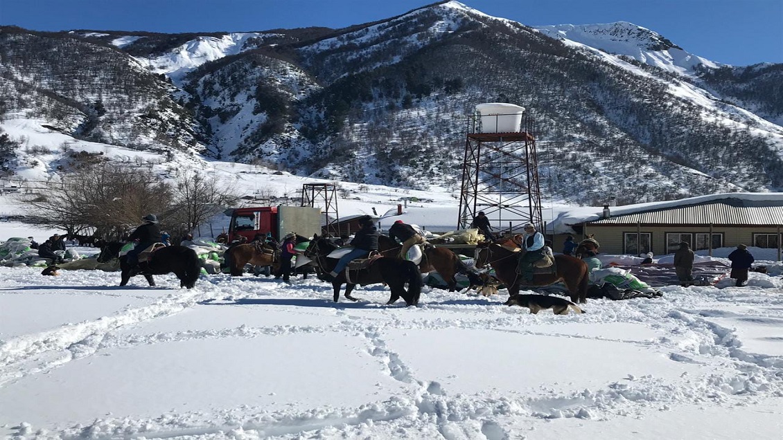 Veintidós familias cumplen 38 días sin luz en Alto Biobío