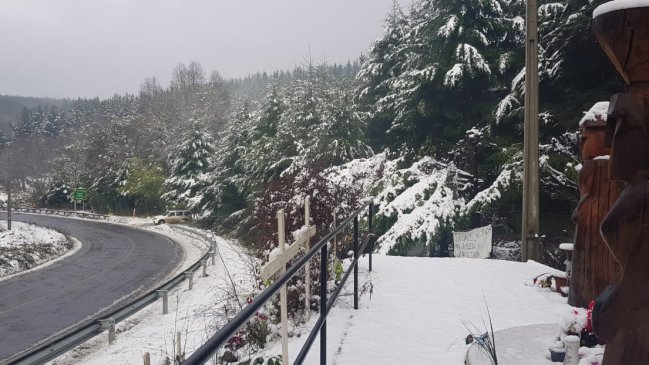 Presentan apuesta turística con mirada internacional para la Araucanía Andina