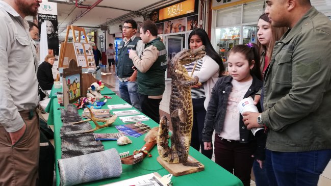 Con exposición en Mall Zofri de Iquique el SAG celebró 52 años de vida