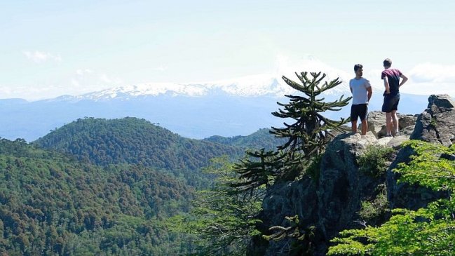 Muchacha de 23 años murió al caer a una quebrada en Pucón