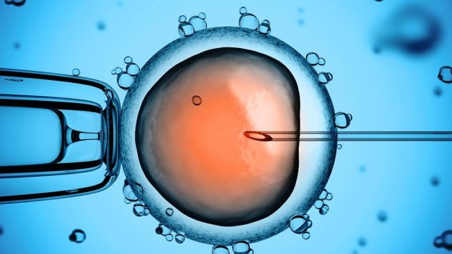 Científica chilena desarrolla el medidor de fertilidad más certero