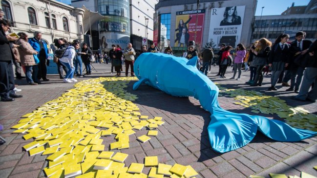 Ballena de 4 metros llegó a Concepción para lanzar 