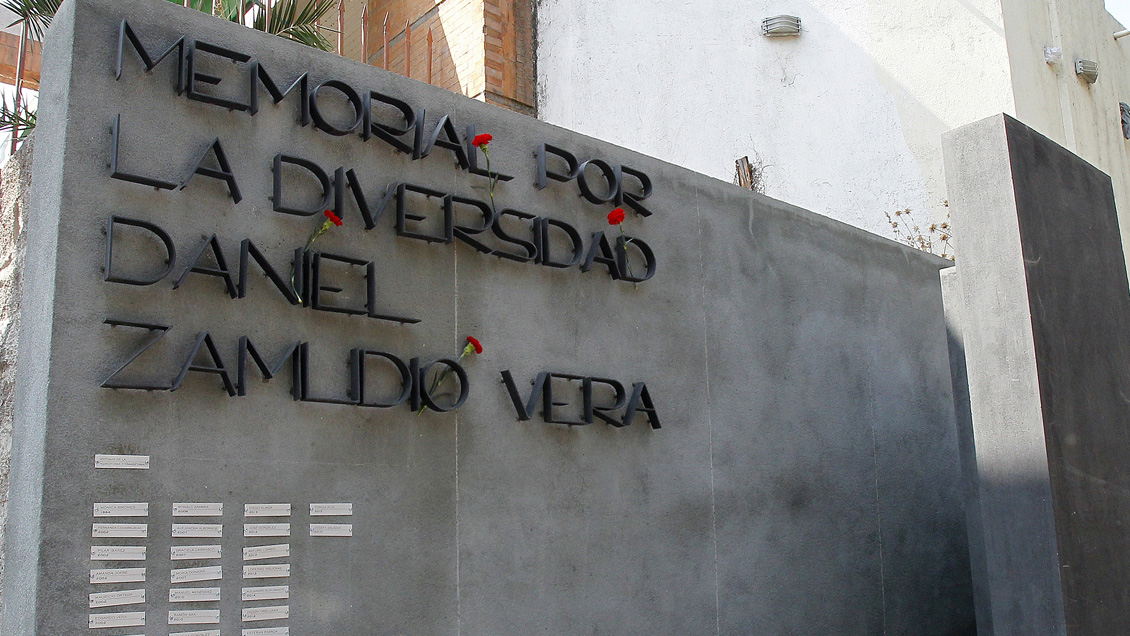 Gobierno iniciará consulta ciudadana para perfeccionar Ley Zamudio