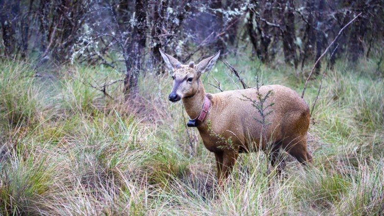 Imagen foto_00000001