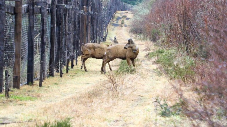 Imagen foto_00000002