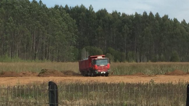Tribunal Ambiental ordenó detención de rellenos en tres humedales de Valdivia