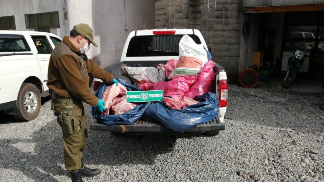 Detienen a presunto propietario de matadero clandestino en Mariquina