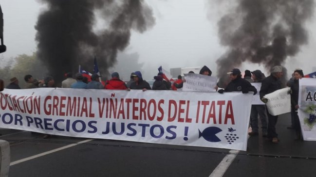 Viñateros del Ñuble protestan por los bajos precios de la uva en Itata