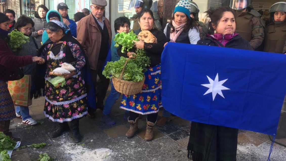 INDH presentó recurso a favor de hortaliceras mapuche de Temuco