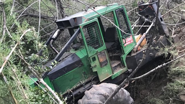 Trabajador fallece al interior de faena forestal en O'Higgins