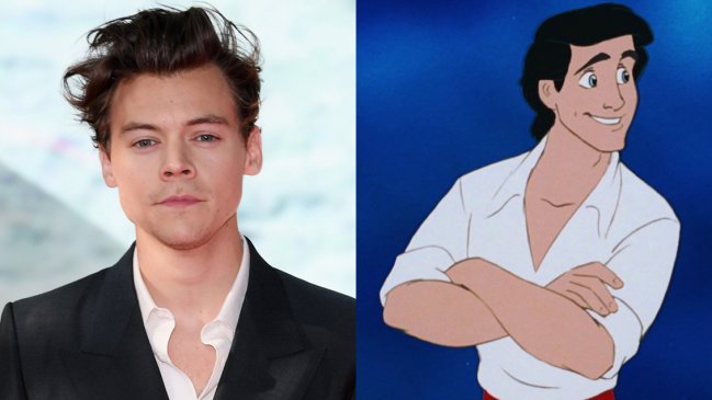 ¿Harry Styles estará en el remake de 